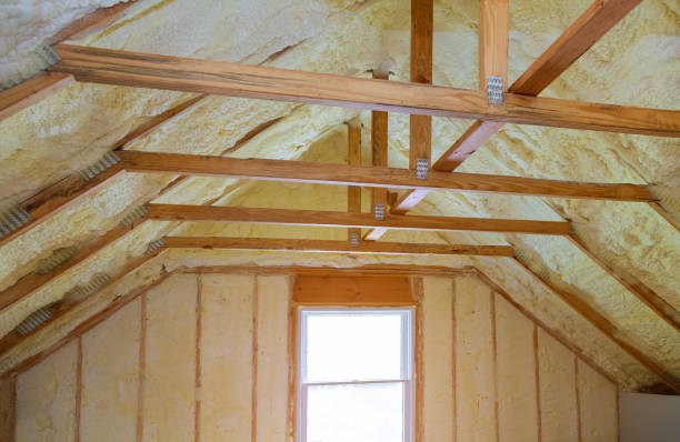 Best Cellulose Insulation in Dunsmuir, CA