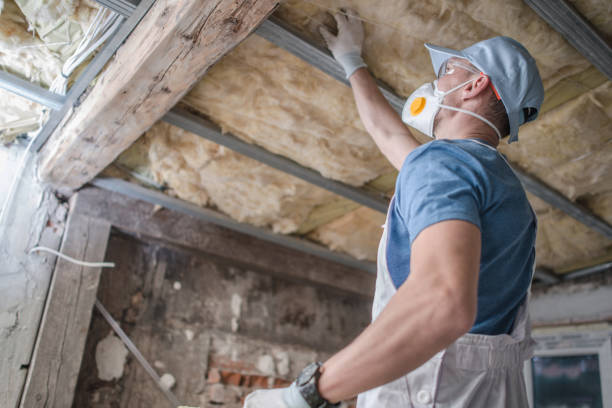 Best Residential Insulation in Dunsmuir, CA